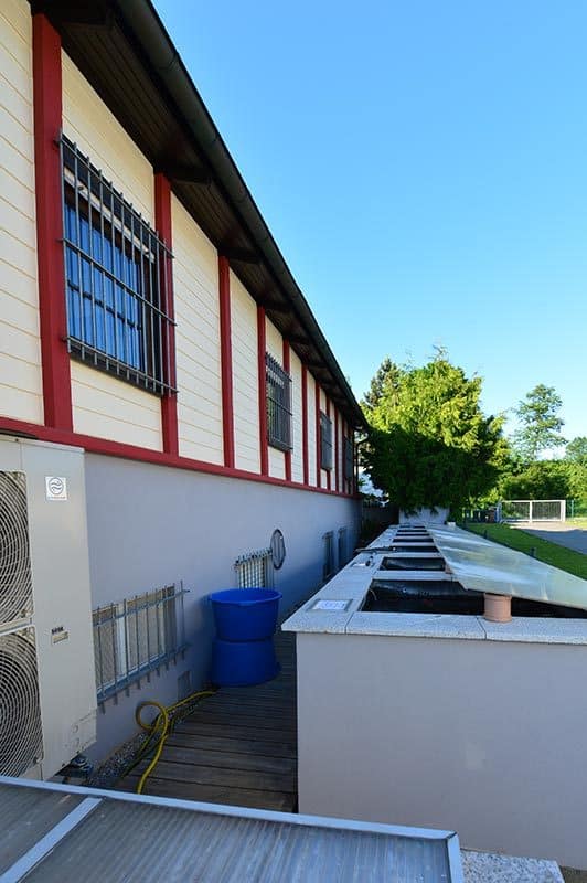 Koi Anderas Aussenbecken
