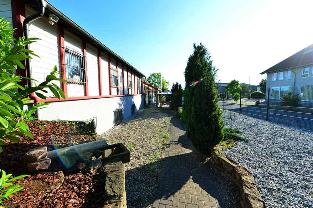 Koi Andreas Aussenanlage2