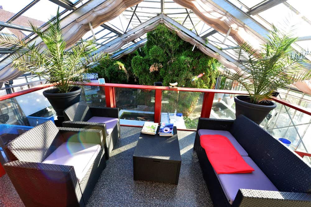 Koi Anderas Glashaus