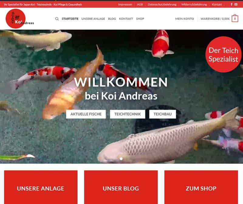 Koi Andreas Website