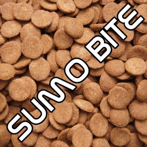 Sumo-Bite-1