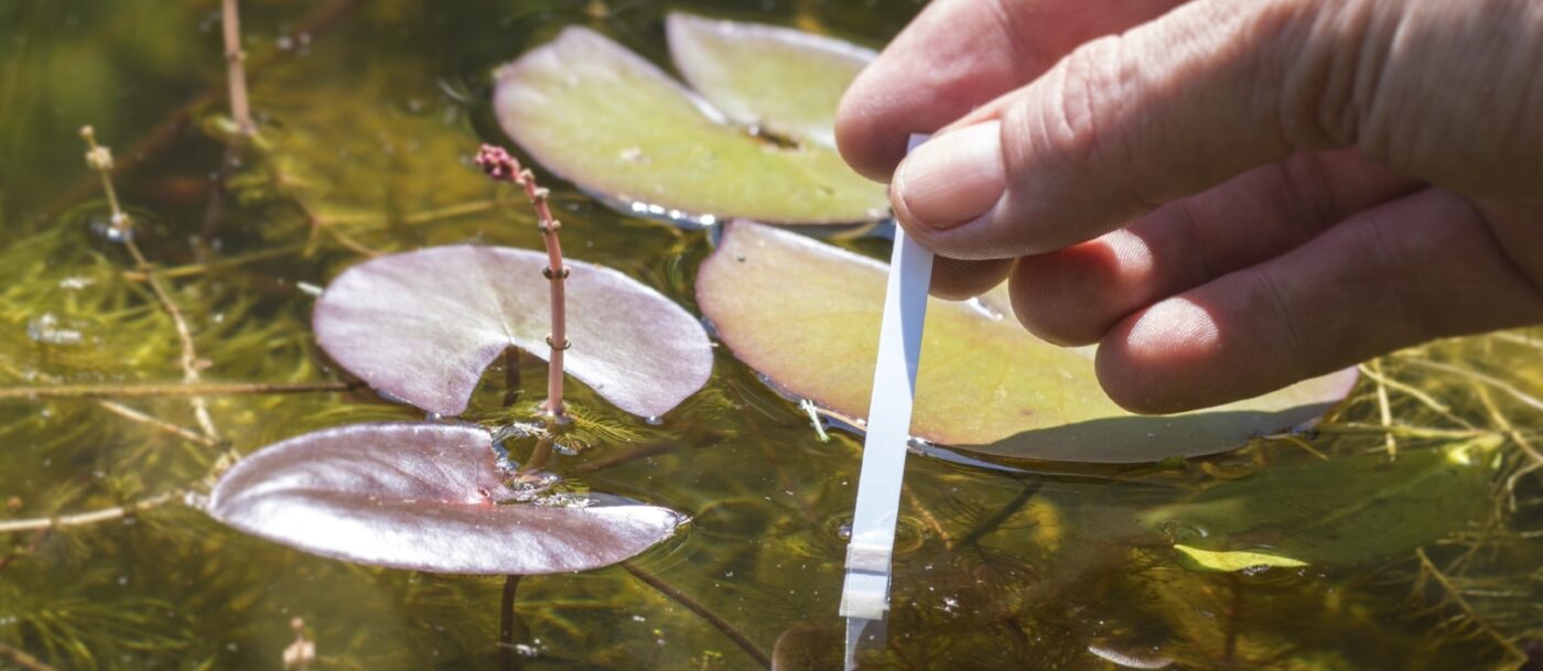 Teich Wassertest