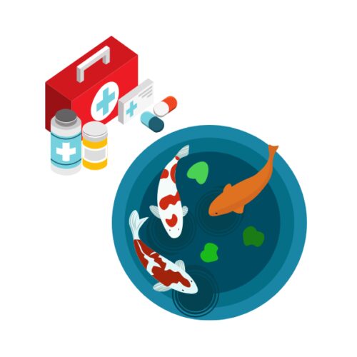 Koi-Gesundheit