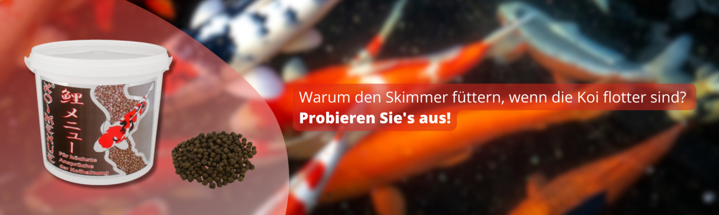 Koi Futter für Frühling Sommer Herbst und Winter