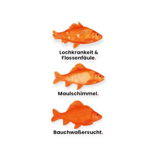 COLOMBO - Morenicol - Cytofex - Krankheiten.jpg